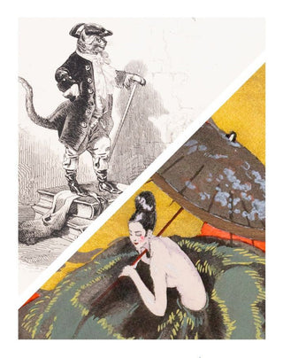 Livres illustrés romantiques et modernes