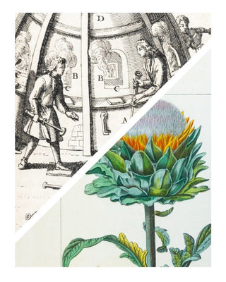 Sciences, Techniques, Métiers & Histoire naturelle