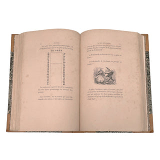Nodier (Charles) - Histoire du Roi de Bohème et de ses sept châteaux
