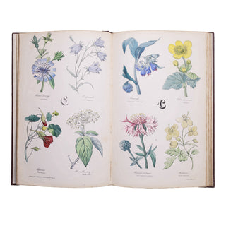 [Abécédaire] Redouté (Pierre-Joseph) – Alphabet Flore.