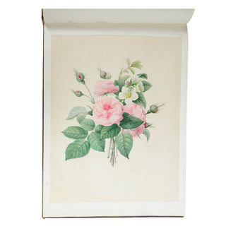 [ALBUM ROMANTIQUE] - Aquarelles de fleurs. c. 1835.