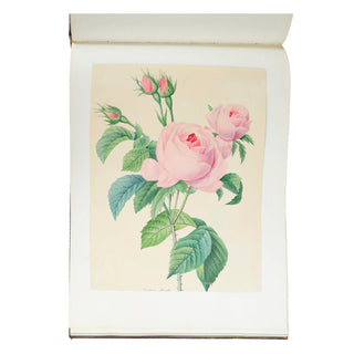 [ALBUM ROMANTIQUE] - Aquarelles de fleurs. c. 1835.