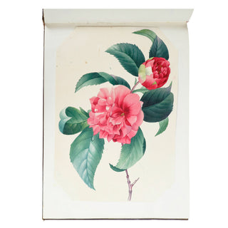 [ALBUM ROMANTIQUE] - Aquarelles de fleurs. c. 1835.