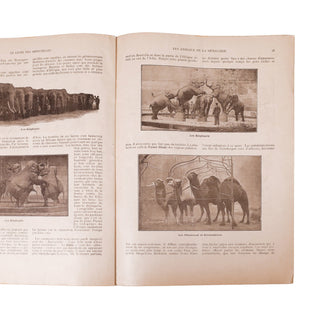 [BROCHURE] - Le livre des merveilles de Barnum et Bailey. Greatest Show on Earth. 1902.