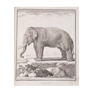 Buffon (George Marie le Clerc, comte de) – Histoire Naturelle générale et particulière, avec la description du cabinet du Roi.