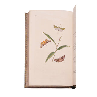Donovan (Edward) – The natural history of British insects.