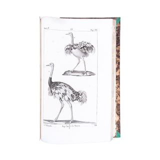 BUFFON - Œuvres complètes. 1825-1828.