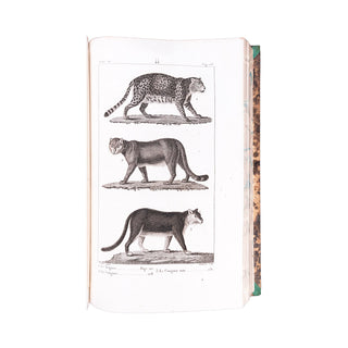 BUFFON - Œuvres complètes. 1825-1828.