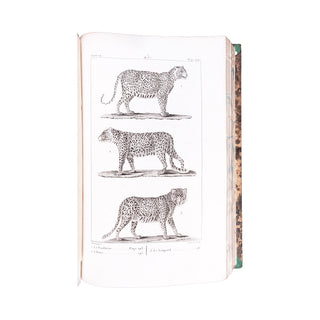 BUFFON - Œuvres complètes. 1825-1828.