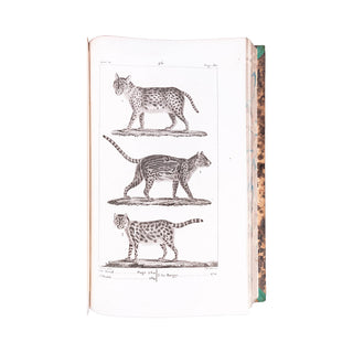 BUFFON - Œuvres complètes. 1825-1828.