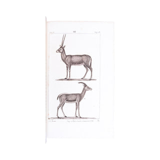 BUFFON - Œuvres complètes. 1825-1828.