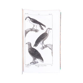 BUFFON - Œuvres complètes. 1825-1828.