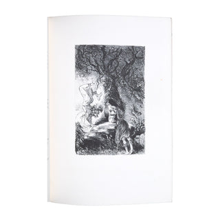 DAUDET (Alphonse) – Le roman du Chaperon-Rouge. 1905.