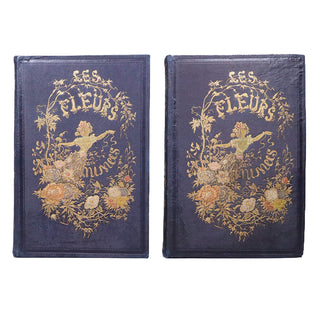GRANDVILLE (Jean Ignace Isidore Gérard) – Les fleurs animées. 1847.
