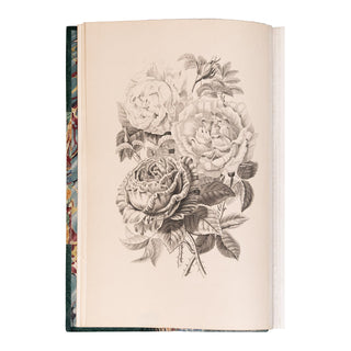 KARR (Alphonse) - Voyage autour de mon jardin. 1851.