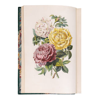 KARR (Alphonse) - Voyage autour de mon jardin. 1851.