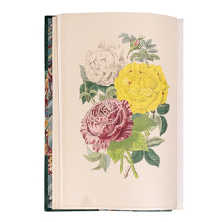 KARR (Alphonse) - Voyage autour de mon jardin. 1851.