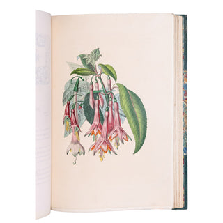 KARR (Alphonse) - Voyage autour de mon jardin. 1851.