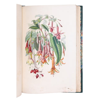 KARR (Alphonse) - Voyage autour de mon jardin. 1851.