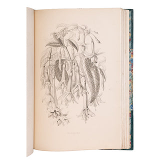KARR (Alphonse) - Voyage autour de mon jardin. 1851.