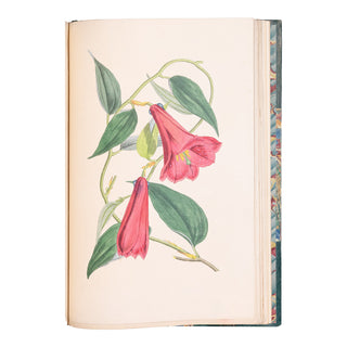 KARR (Alphonse) - Voyage autour de mon jardin. 1851.
