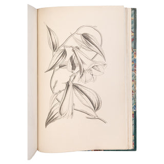 KARR (Alphonse) - Voyage autour de mon jardin. 1851.