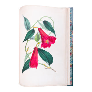 KARR (Alphonse) - Voyage autour de mon jardin. 1851.