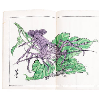 KAWANABE KYŌSAI - Kyōsai rakuga. 1881.