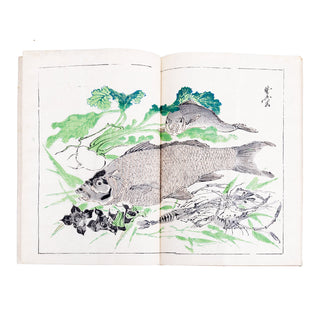 KAWANABE KYŌSAI - Kyōsai rakuga. 1881.