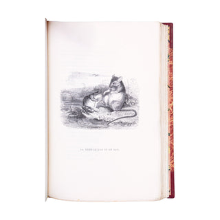 LA FONTAINE (Jean de) - GRANDVILLE - Fables. 1838.