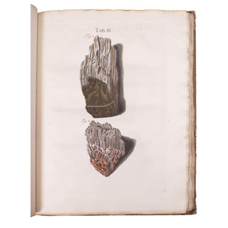 LEDERMÜLLER (Martin Frobenius) – Mikroskoopische Vermaaklykheden. 1776.