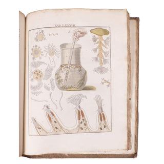 LEDERMÜLLER (Martin Frobenius) – Mikroskoopische Vermaaklykheden. 1776.