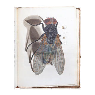 LEDERMÜLLER (Martin Frobenius) – Mikroskoopische Vermaaklykheden. 1776.