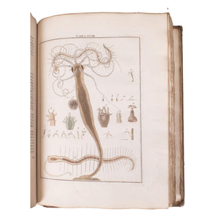 LEDERMÜLLER (Martin Frobenius) – Mikroskoopische Vermaaklykheden. 1776.