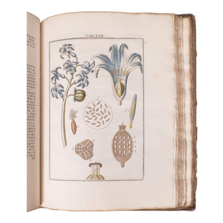 LEDERMÜLLER (Martin Frobenius) – Mikroskoopische Vermaaklykheden. 1776.