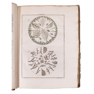 LEDERMÜLLER (Martin Frobenius) – Mikroskoopische Vermaaklykheden. 1776.