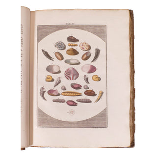 LEDERMÜLLER (Martin Frobenius) – Mikroskoopische Vermaaklykheden. 1776.