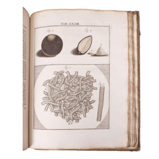 LEDERMÜLLER (Martin Frobenius) – Mikroskoopische Vermaaklykheden. 1776.