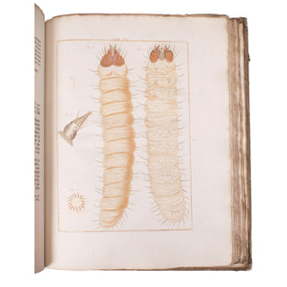 LEDERMÜLLER (Martin Frobenius) – Mikroskoopische Vermaaklykheden. 1776.