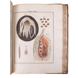 LEDERMÜLLER (Martin Frobenius) – Mikroskoopische Vermaaklykheden. 1776.