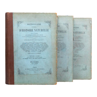 ORBIGNY (Charles d') - Dictionnaire universel d’histoire naturelle. Atlas. 1870.