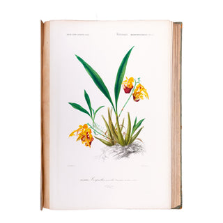 ORBIGNY (Charles d') - Dictionnaire universel d’histoire naturelle. Atlas. 1870.