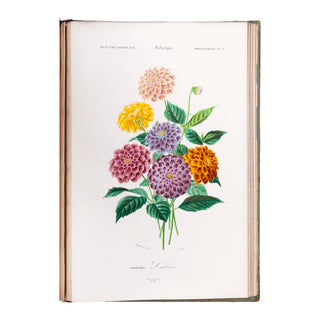 ORBIGNY (Charles d') - Dictionnaire universel d’histoire naturelle. Atlas. 1870.
