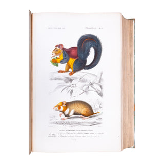 ORBIGNY (Charles d') - Dictionnaire universel d’histoire naturelle. Atlas. 1870.