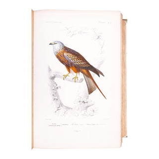 ORBIGNY (Charles d') - Dictionnaire universel d’histoire naturelle. Atlas. 1870.
