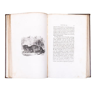 PLANCHE (Gustave) – Salon de 1831. 1831.