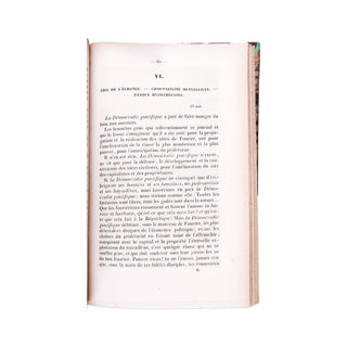 [RÉUNION DE TROIS TEXTES DE PROUDHON] - Organisation du crédit... 1849.