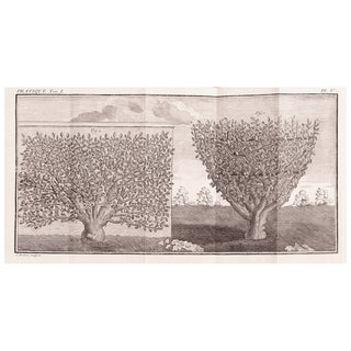 SCHABOL (Roger) - DEZALLIER D'ARGENVILLE (Antoine-Nicolas) - La Théorie, La Pratique et le Dictionnaire du jardinage.