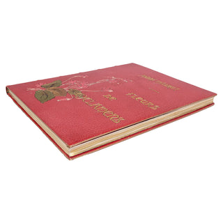 THEURIET (André) – Fleurs de Cyclamens. 1899.